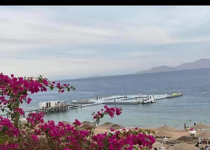 Domina Coral Bay Appartamento